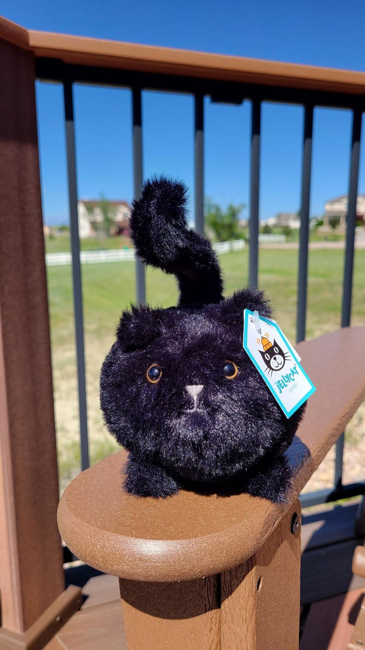 Jellycat Kitten Caboodle Black Soft Plush Rare Retired Stuffed Kitty Toy 10cm(Retired)